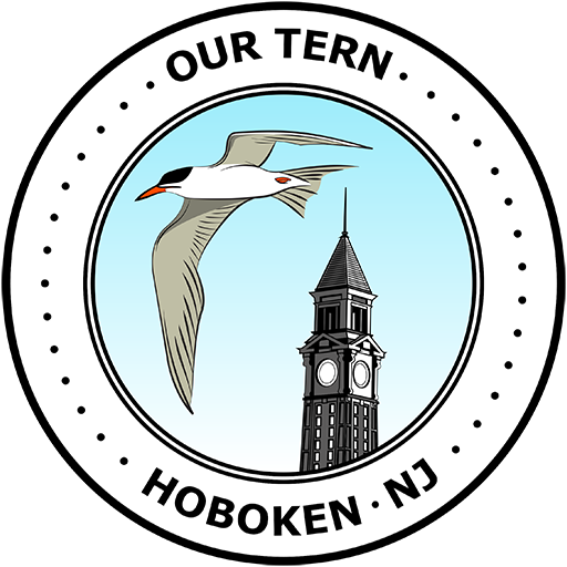 Our Tern: Protecting Hoboken's Honorary Bird, the Common Tern